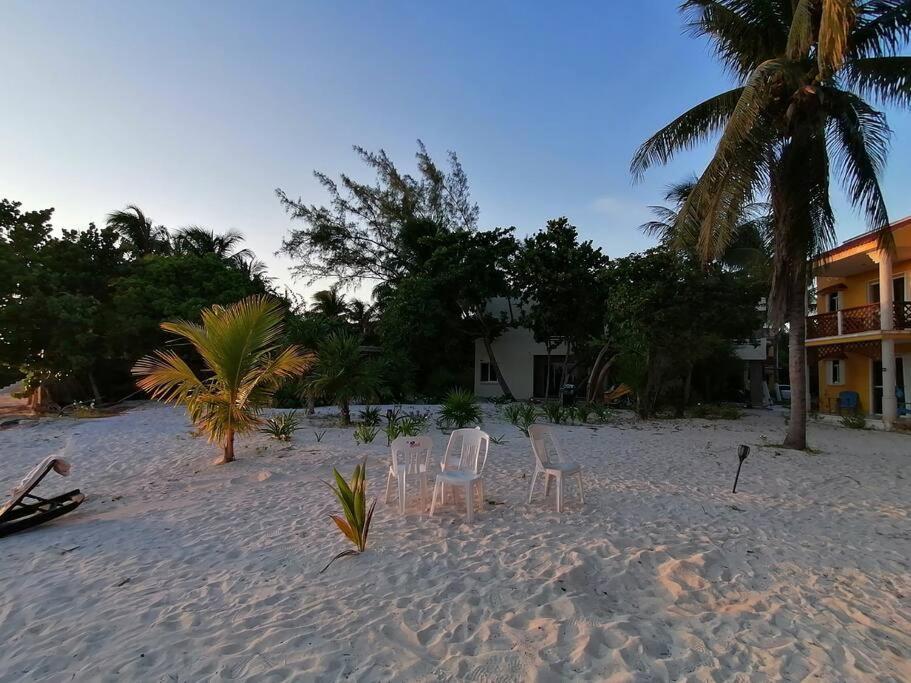Marysol Great Views Beachfront Next To Nomads D3 Isla Mujeres Luaran gambar