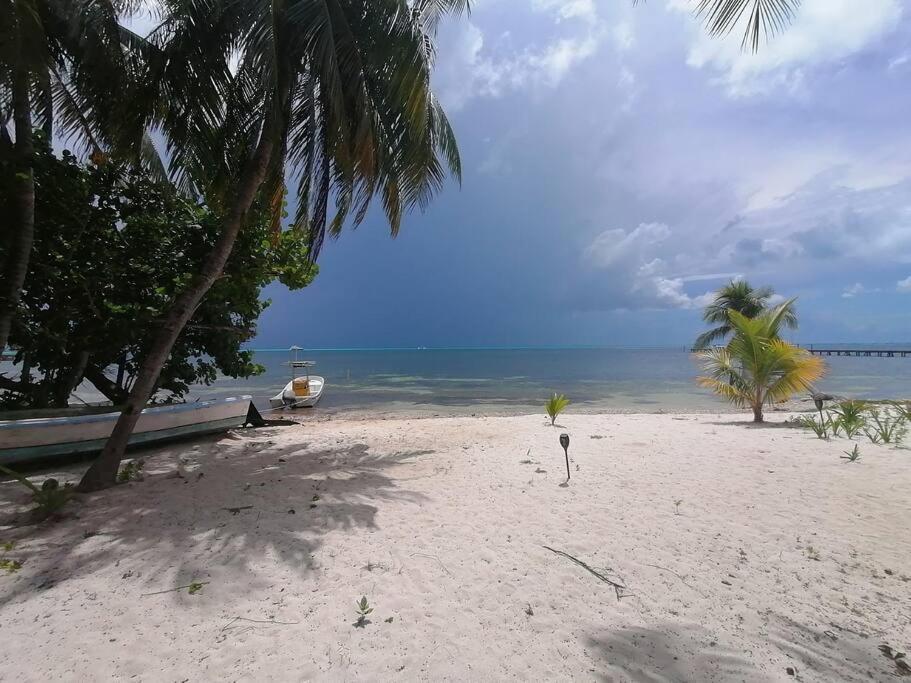 Marysol Great Views Beachfront Next To Nomads D3 Isla Mujeres Luaran gambar