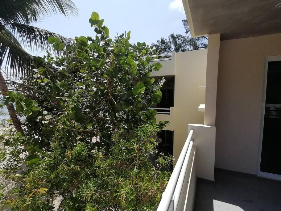 Marysol Great Views Beachfront Next To Nomads D3 Isla Mujeres Luaran gambar