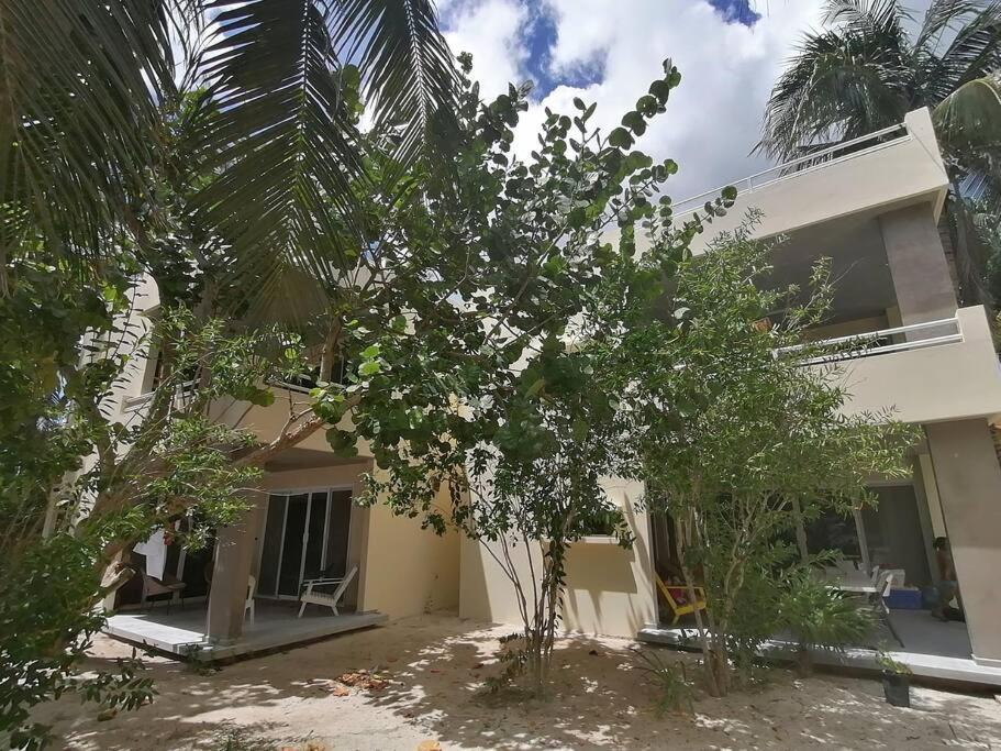 Marysol Great Views Beachfront Next To Nomads D3 Isla Mujeres Luaran gambar