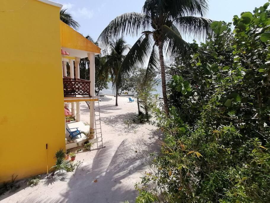 Marysol Great Views Beachfront Next To Nomads D3 Isla Mujeres Luaran gambar