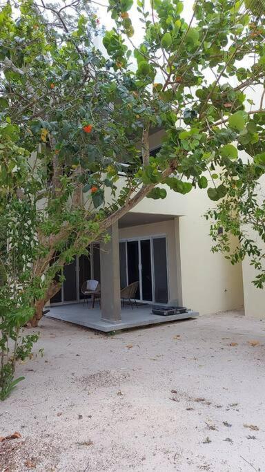 Marysol Great Views Beachfront Next To Nomads D3 Isla Mujeres Luaran gambar